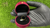 The ZAYR Midnight Onyx Oval