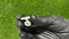 The ZAYR Grecian Heritage Band Ring