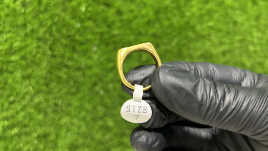 The ZAYR Ivory Horizon Signet Ring